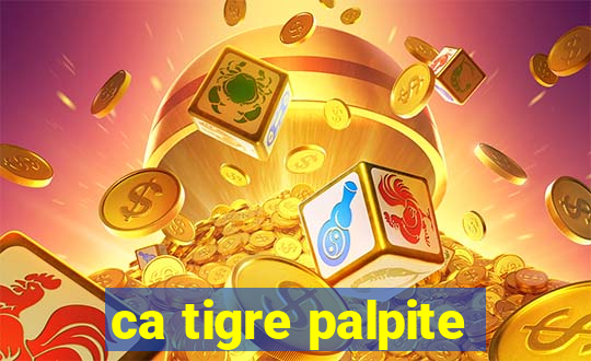 ca tigre palpite